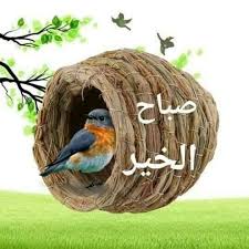 Pin By Ayaz Khan On ترحيب Bird Supplies Good Morning Flowers Bird
