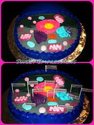 How to make a model cell. Om 4047 Cell Model Animal Cell And 3d On Pinterest Download Diagram
