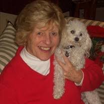 Dorothy Smee's Instagram, Twitter & Facebook