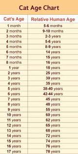 Aug 21, 2020 · from this research, they concluded that you can calculate a dog's age to human years by multiplying the natural logarithm of the dog's age by 16 and adding 31. We All Know About Dog Years But How Old Is Your Cat In Human Years This Cat Age Chart Tells You Your Cat S Age Relative To Hu Cat Age Chart Cat
