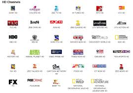 Dish network channels 2020 | dish channel guide & tv packages. Dish Tv Cartoon Channel List