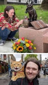 Bob Street Cat Statue | TikTok