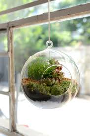 Stylebriefhongkong Two Australian Creatives Exploring Hong Kong Floristry Courses Perfect Plants Hanging