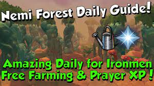 Nemi Forest Guide! Perfect for Ironmen! [Runescape 3] Easy XP & Rep Daily!  - YouTube