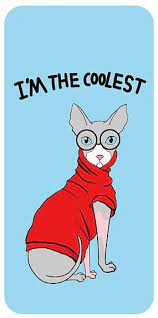 猫猫狗狗 插画 商业插画 citycase 原创作品 站酷 zcool disney characters character fictional characters