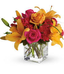 Use the feedback button at the bottom right corner of any page to send us your thoughts. Teleflora S Uniquely Chic In Minneapolis Mn Paeonia Floral By Cardell
