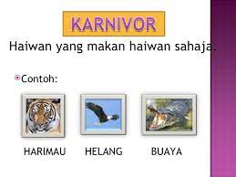 Haiwan padang pasir yang meluas ini merupakan keluarga kedua haiwan ini lebih dekat dengan perairan yang segar. Haiwan Dan Jenis Makanannya