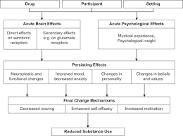 Psilocybin An Overview Sciencedirect Topics