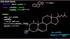 Check spelling or type a new query. Lipids Part 11 Of 11 Sterols Steroids Youtube