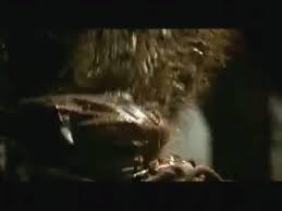 Discover the magic of the internet at imgur, a community powered entertainment destination. Hannibal Anthony Hopkins Silence Of The Lambs 2 Verger S Death Eaten By Boars Giant Wild Pigs On Make A Gif