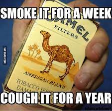 Camel advertising campaign included the so called 'teasers' which stated that the camels are coming. Camel Cigarette 9gag