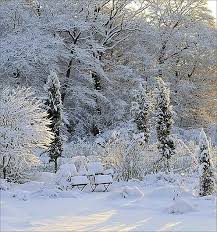 Wunderlandschaft Wunderschon Winter Landscape Winter Scenery Winter Scenes
