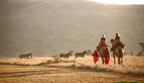 But getting on and riding a camel, especially if you're a novice, is anything but noble. The Best Locations For Camel Safari With Africa Travel Resource