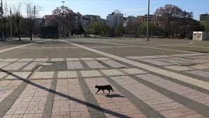 2021 market çalışma saatleri nedir? 6chwszyshfun7m