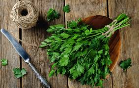 الفرق بين الكزبرة والبقدونس Just Food