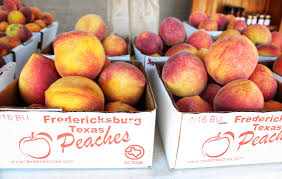 We did not find results for: Fredericksburg Peaches Guide To Central Texas Orchards Tribeza