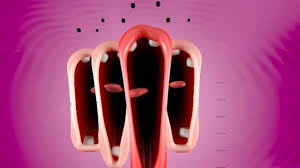 You can also get a good amount of shows by subscribing to. Adult Swim Choir Offers A Goofy Interactive Take On Virtual Singing