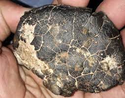Some scientists think an air burst explosion caused the release of sufficient heat to melt and fuse the surface desert sand forming the libyan desert glass. Photos People Have Sent Of Things That Look Like Meteorites To Me Some Meteorite Information Washington University In St Louis