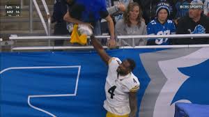 Glazer: 2024 Security Report Notes Fan Involved In Metcalf Altercation Made  'Derogatory Comments' To Him - Steelers Depot