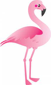 Flamingo Clipart Png Flamingo Clip Art Flamingo Vector Flamingo Themed Party