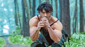 First, start with a vidyut jamwal workout then we will talk about the vidyut jamwal diet. I Ve Been A True Martial Arts Warrior From Within For The 40 Years That I Ve Lived Vidyut Jammwal
