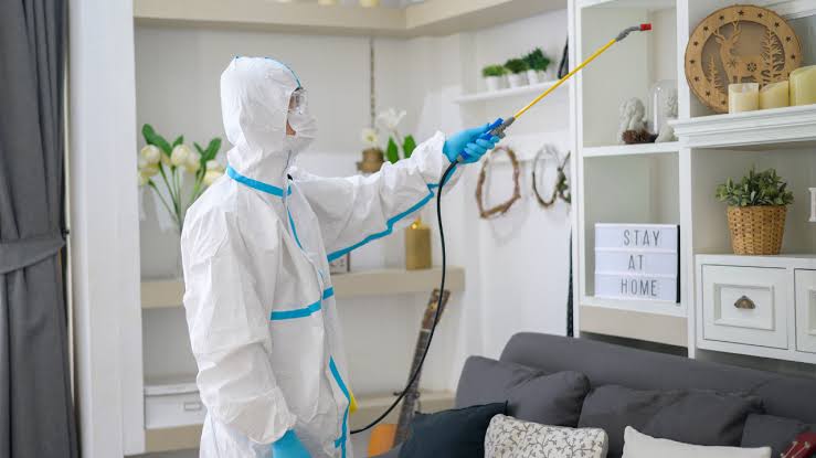 Pest Inspection Service