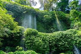 Aik berik, north batukliang, central lombok regency, west nusa tenggara 83552, indonesia air terjun benang kelambu contact number: Air Terjun Benang Kelambu Waterfall On The Island Lombok Indonesia Stock Photo Picture And Royalty Free Image Image 125219982