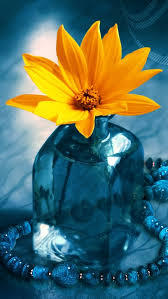 Choose from a curated selection of flower wallpapers for your mobile and desktop screens. 3d Flower Pictures Wallpaper Allwallpaper