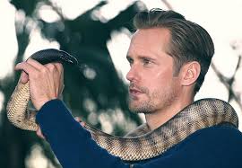 Stellan john skarsgard has been an actor for more than five decades since his first a. Hd Wallpaper Actors Alexander Skarsgard Alexander Skarsgard Snake Swedish Wallpaper Flare