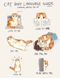 33 Funny Cute Cat Comics That Will Leave You Wanting More Cat Body Cat Language Funny Cute Cats