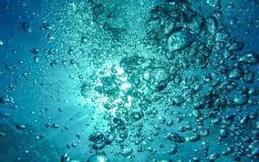 Water bodies receive oxygen from the atmosphere and from aquatic plants. Dissolved Oxygen Do Measurements