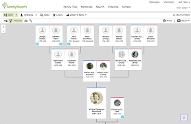 The 6 Best Family Tree Software Programs For Genealogy