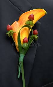 Maybe you would like to learn more about one of these? Hochzeitsblume Stockfoto Bild Von Blume Paare Liebe 1376460