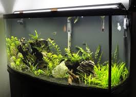Finnex Ray2 Aquarium Led Daylight 48 Inch Sea Life Center