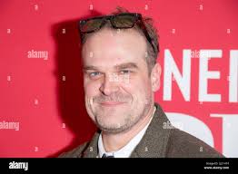 David harbour 2022 hi-res stock photography and images