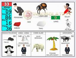 45 Gambar Binatang Buat Togel Hd Gambar Hewan