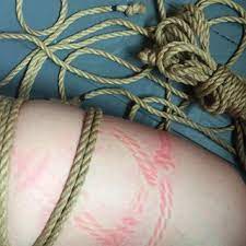 pdf rope bondage and affective embodiments a rhizomatic analysis