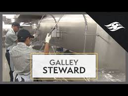 Memberikan kesempatan belajar yang sangat luas. Disney Cruise Line Galley Steward Golectures Online Lectures