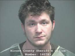 BEAVER, ETHAN WESLEY Charges: VANDALISM OF PROPERTY GREATER THAN $1000 This  information and more is available https://apps.myocv.com/share/a95737804