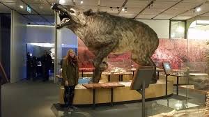 ANDREWSARCHUS