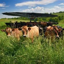 Cattle Shade Taimei Outdoor Fabric Manufacturer