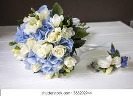 Wedding bouquets hydrangeas and roses. Gentle Wedding Bouquet Hydrangeas Roses Freesia Stock Photo Edit Now 568202944