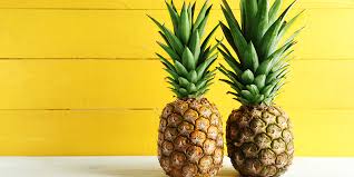 Namun perlu diketahui, jumlah enzim bromelain dalam nanas sangatlah kecil sehingga mengonsumsinya dalam batas wajar tidak mungkin menyebabkan perdarahan atau bahkan keguguran. 7 Fakta Unik Nanas Mulai Dari Kaya Manfaat Sampai Jadi Lagu Trending