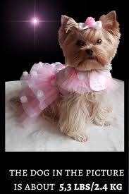 Pink Dog Wedding Dress Or Special Occasion Dog Harness Dress Etsy In 2020 Pink Dog Dress Dog Wedding Dress Dog Wedding Attire