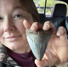 Favorite things to do in Charleston with kids