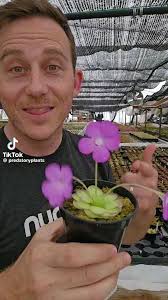 Dena Bryan (denabryan21)