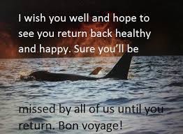  100 Bon Voyage Or Have A Safe Trip Messages Plus Quotes Safe Trip Message Have A Safe Trip Bon Voyage Message