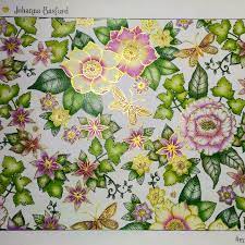 I am an illustrator and ink evangelist who prefers pens and pencils to pixels. Resultado De Imagem Para World Of Flowers Johanna Basford Johanna Basford Coloring Johanna Basford Coloring Book Secret Garden Coloring Book