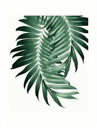 Palm Leaves Tropical Green Vibes 4 Tropical Decor Art Art Print By Anitabellajantz Tropical Painting Tropical Wall Art Tropical Decor