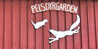 Cerad is a partnership of various nmbu departments, dsa, niva, fhi and met, based at the isotope laboratory of nmbu's faculty of environmental sciences and natural resource management. Pelsdyrgarden Pa Nmbu Tuntreet